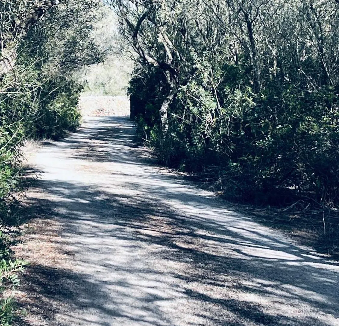 Villa Es Revellar Campos   Campos (Mallorca)