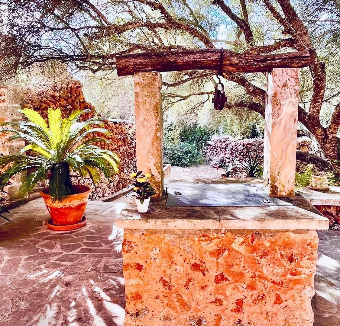 Villa Es Revellar Campos   Campos (Mallorca)